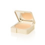 Protective Compact Foundation SPF50 Nº 10 Ivory